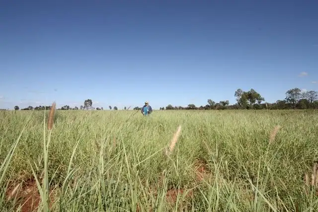 Main view of Homely rural property listing, 500 Hibbs Road, via Biloela, Goovigen QLD 4702