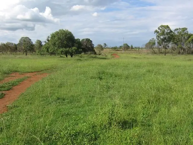 Second view of Homely rural property listing, 500 Hibbs Road, via Biloela, Goovigen QLD 4702