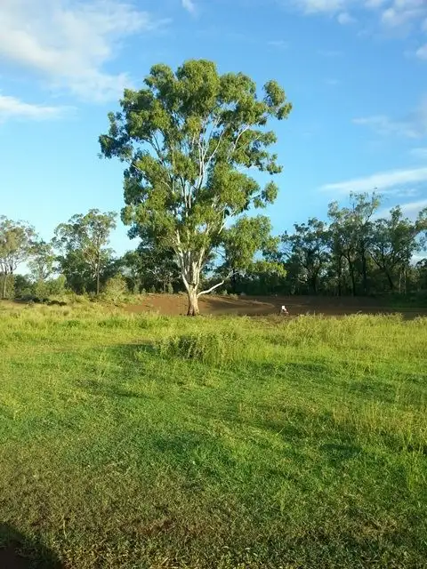 Fifth view of Homely rural property listing, 500 Hibbs Road, via Biloela, Goovigen QLD 4702