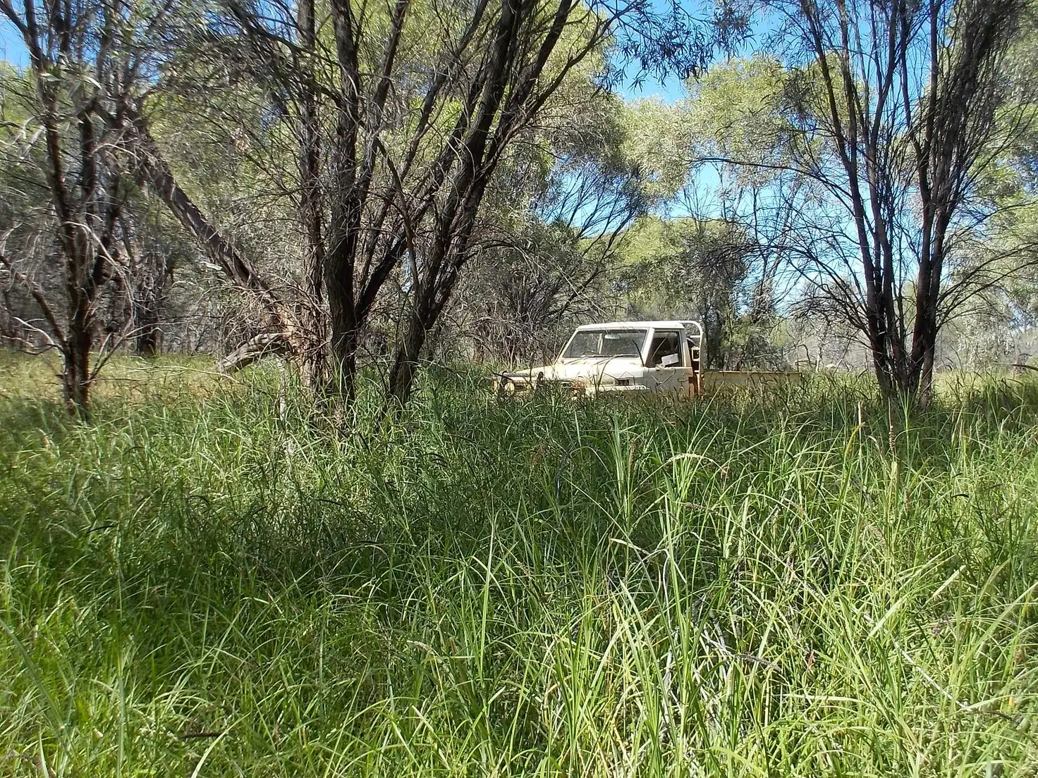 Main view of Homely rural property listing, Pingandy Station via Meekatharra, Meekatharra WA 6642