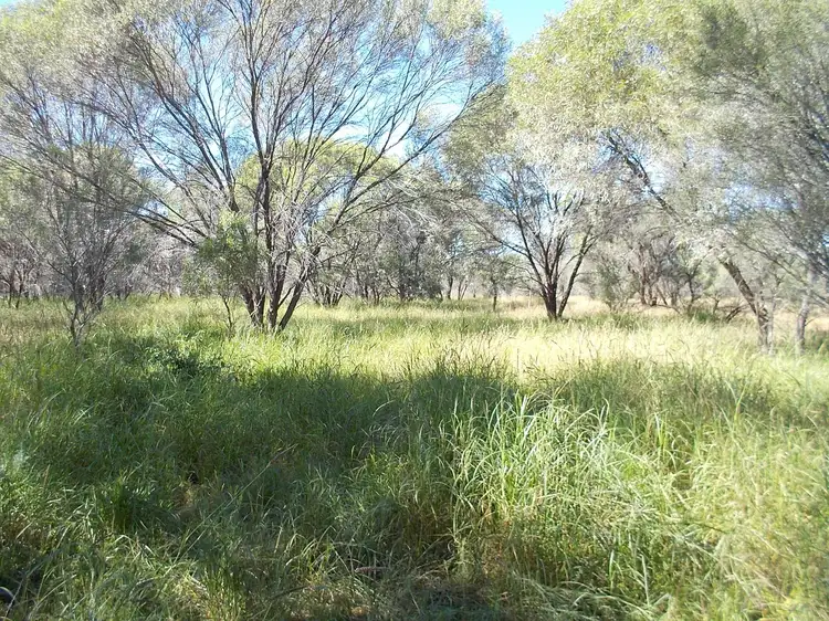 Second view of Homely rural property listing, Pingandy Station via Meekatharra, Meekatharra WA 6642