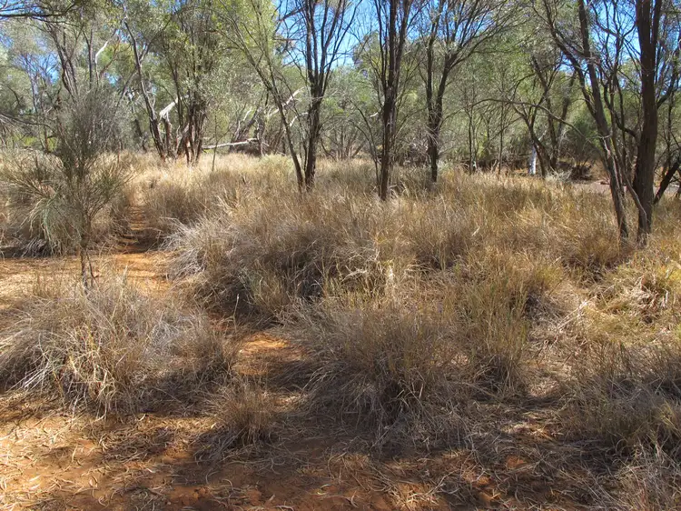 Fourth view of Homely rural property listing, Pingandy Station via Meekatharra, Meekatharra WA 6642
