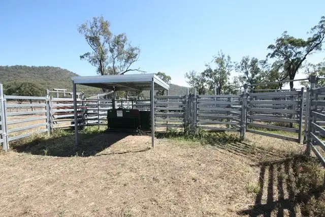 Seventh view of Homely rural property listing, 712 Gorge Road, Monto QLD 4630