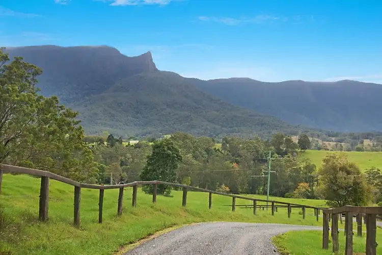 Third view of Homely rural property listing, 844-866 Brays Creek Road, Brays Creek NSW 2484