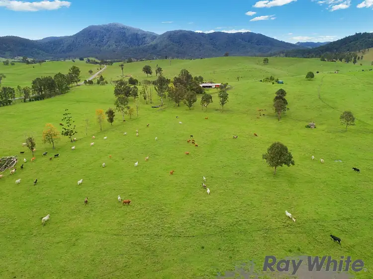 Seventh view of Homely rural property listing, 14 Cookes Road, Conondale QLD 4552