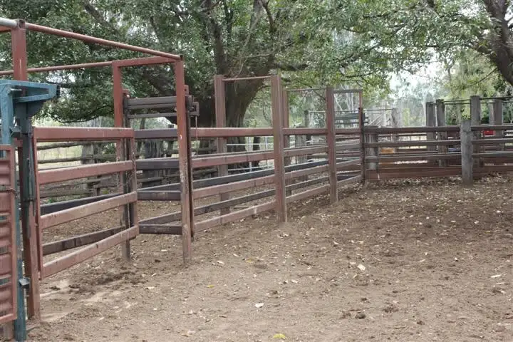 Seventh view of Homely rural property listing, 1140 "Glenwood" Cooinda Road, Dingo QLD 4702