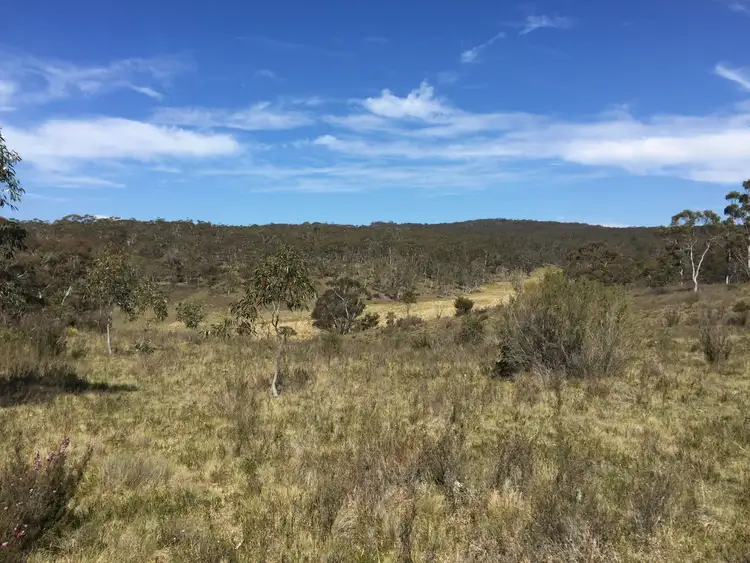 Fourth view of Homely rural property listing, 87 Kirriford Road, Nerriga NSW 2622