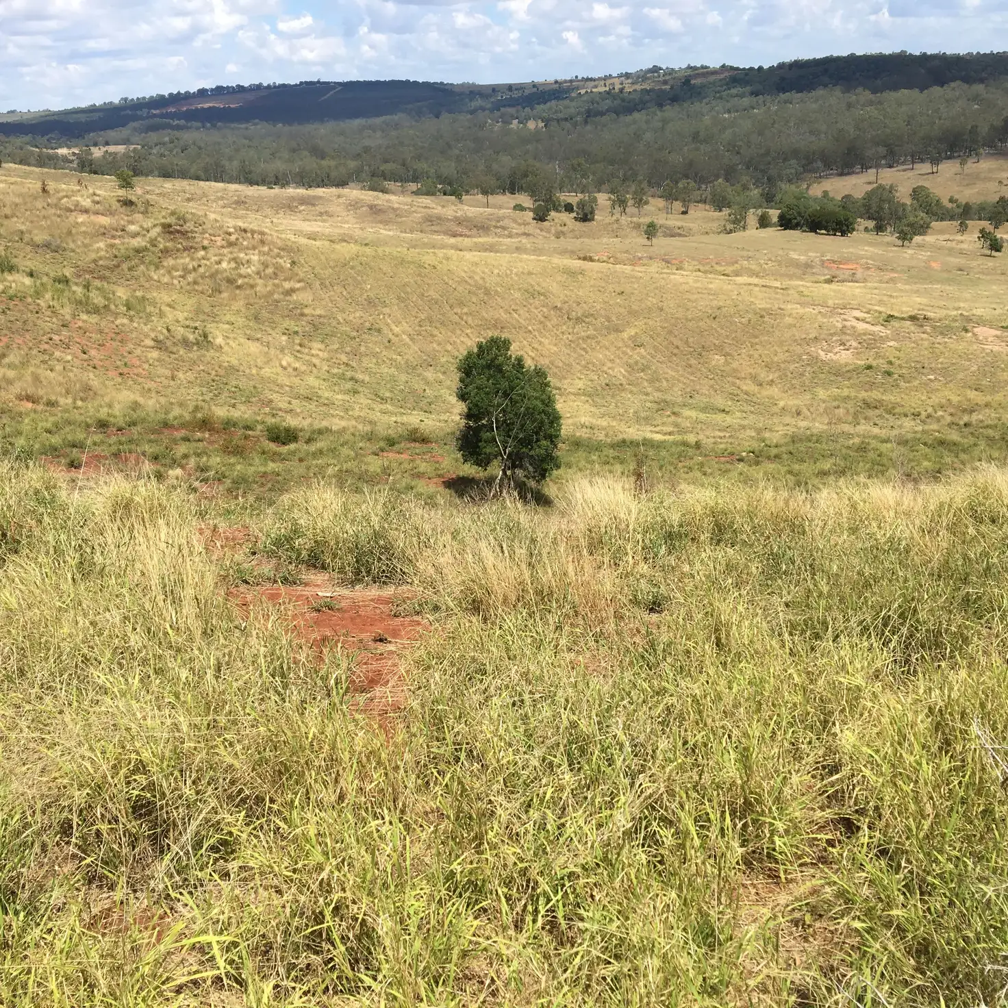 Main view of Homely rural property listing, Address available on request