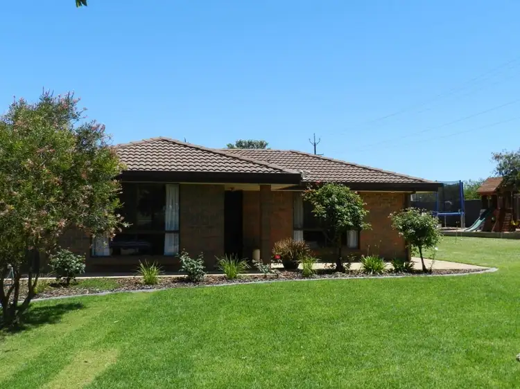 Main view of Homely house listing, 45 Shortt Road, Glossop SA 5344