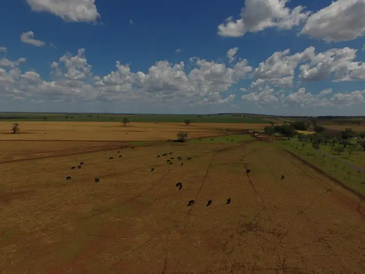 Fifth view of Homely rural property listing, 1251 Bunya Highway, Dalby QLD 4405