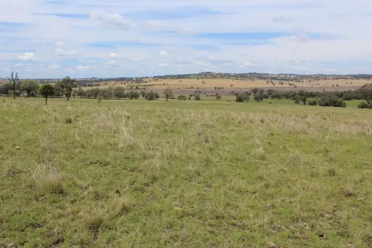 Fourth view of Homely rural property listing, " Oban", Coolatai NSW 2402