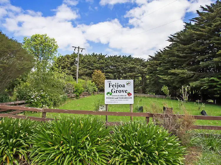 Third view of Homely rural property listing, 20 Murfitts Road, Scotts Creek VIC 3267
