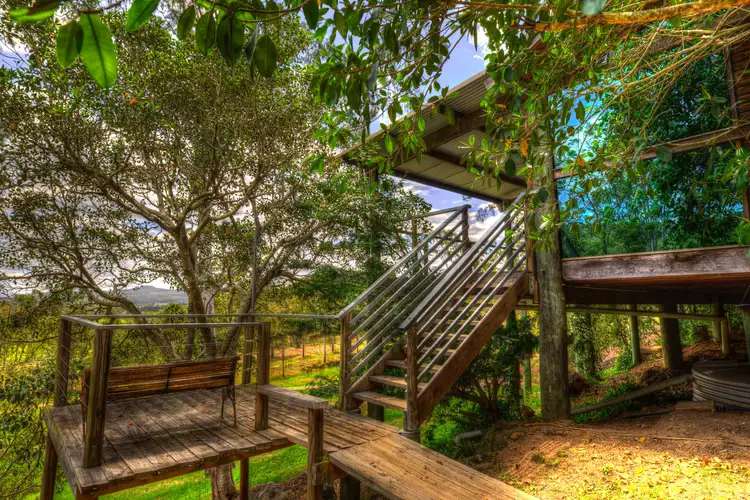 Main view of Homely house listing, 146 Wombat Creek Road, Smiths Creek NSW 2460