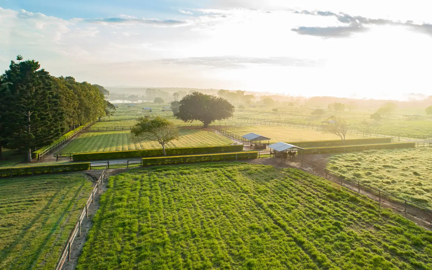 Main view of Homely rural property listing, 479 Old Toorbul Point Road, Caboolture QLD 4510