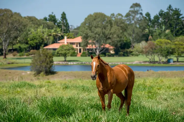 Second view of Homely rural property listing, 479 Old Toorbul Point Road, Caboolture QLD 4510