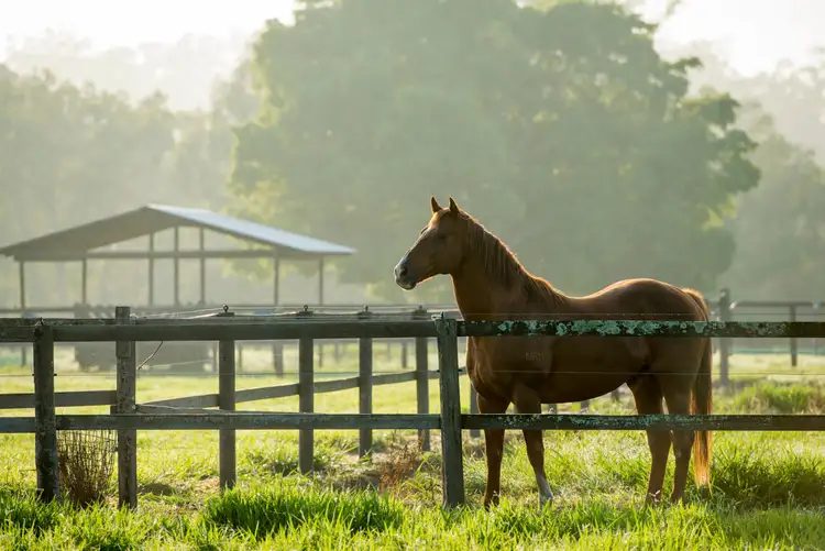 Sixth view of Homely rural property listing, 479 Old Toorbul Point Road, Caboolture QLD 4510