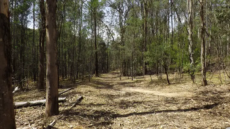 Fourth view of Homely rural property listing, 6308 Putty Road, Howes Valley NSW 2330