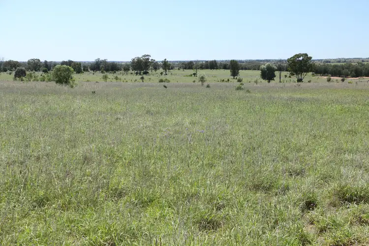 Second view of Homely rural property listing, 28108 CARNARVON Highway, Roma QLD 4455