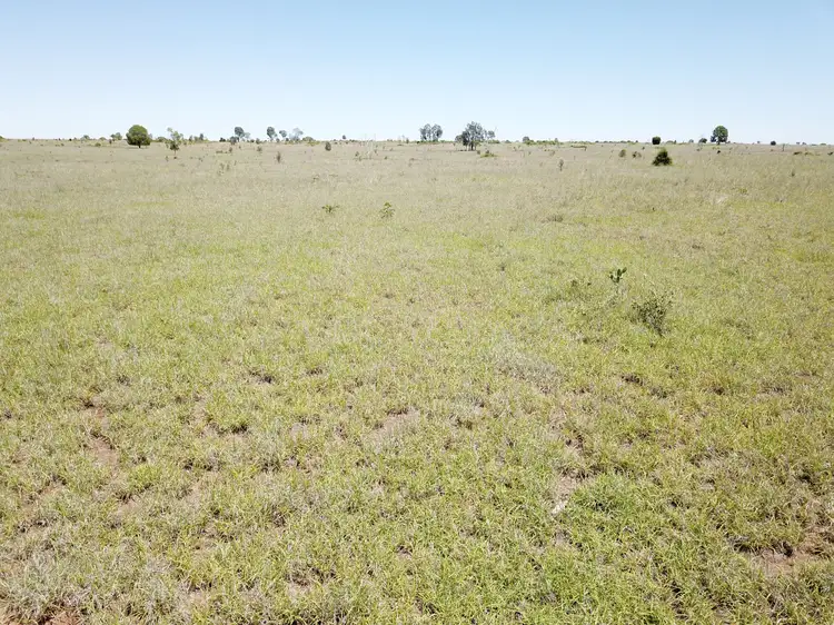 Fourth view of Homely rural property listing, 28108 CARNARVON Highway, Roma QLD 4455