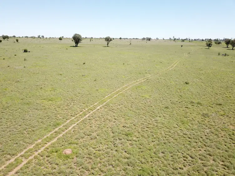 Fifth view of Homely rural property listing, 28108 CARNARVON Highway, Roma QLD 4455