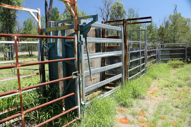 Sixth view of Homely rural property listing, 28108 CARNARVON Highway, Roma QLD 4455