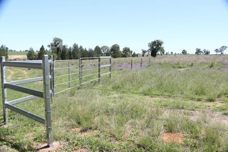 Seventh view of Homely rural property listing, 28108 CARNARVON Highway, Roma QLD 4455