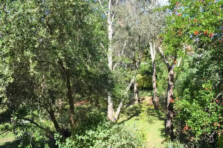 Sixth view of Homely house listing, 1 Warren Road, Nannup WA 6275