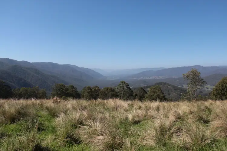 Second view of Homely rural property listing, 90 Timbarra Road, Tenterfield NSW 2372