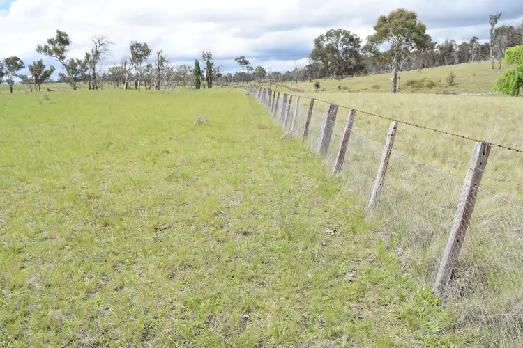 Seventh view of Homely rural property listing, 460 Donald Road, Armidale NSW 2350