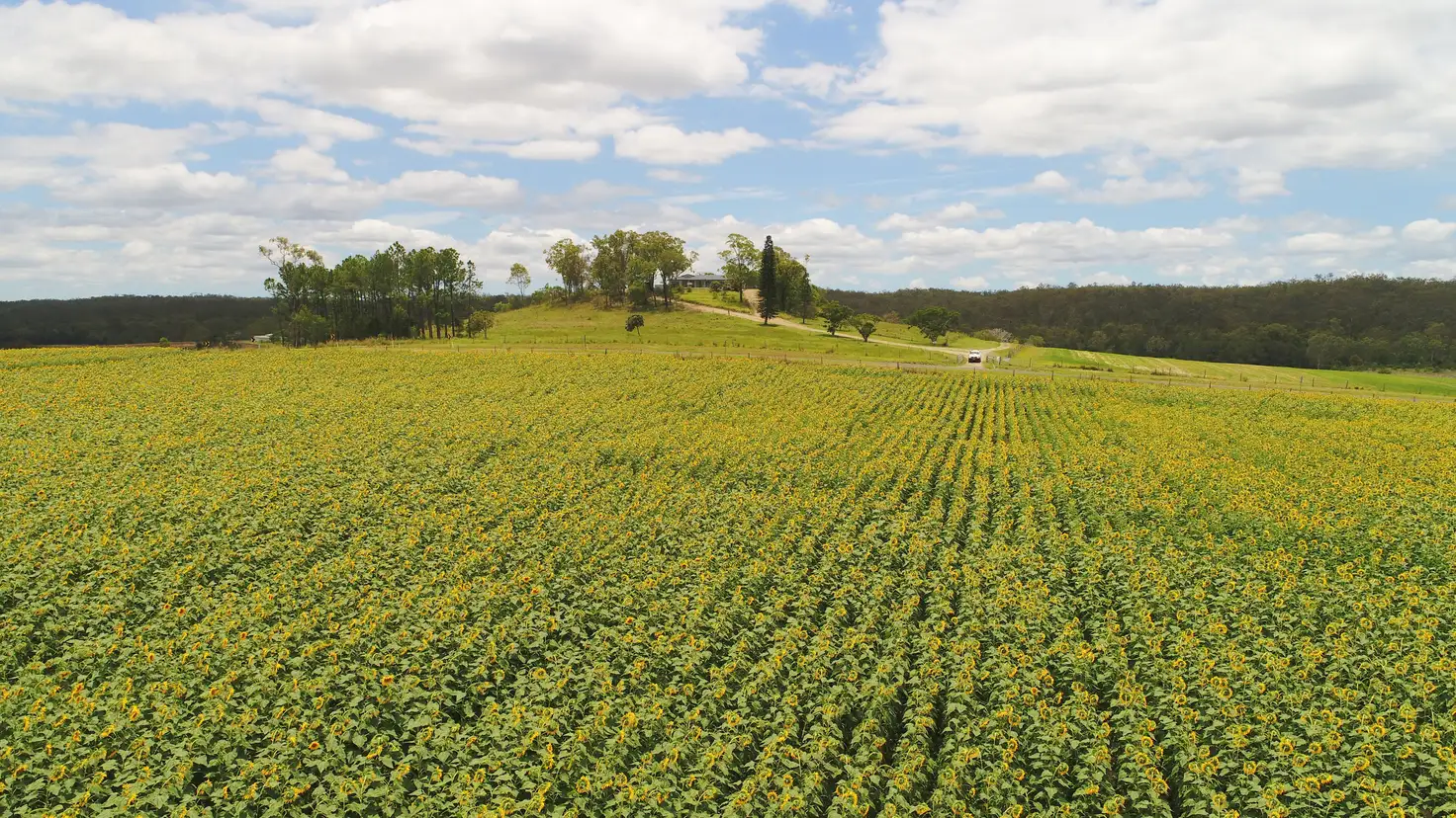 Main view of Homely rural property listing, 'Nobby Hill' Delan Rd, Delan, Gin Gin QLD 4671