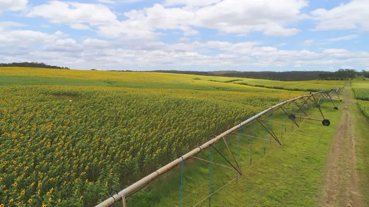Second view of Homely rural property listing, 'Nobby Hill' Delan Rd, Delan, Gin Gin QLD 4671