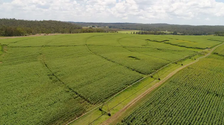 Third view of Homely rural property listing, 'Nobby Hill' Delan Rd, Delan, Gin Gin QLD 4671