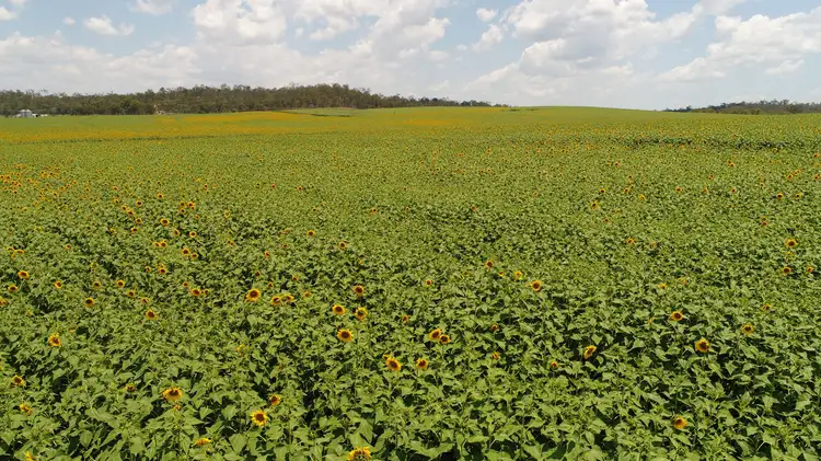Fourth view of Homely rural property listing, 'Nobby Hill' Delan Rd, Delan, Gin Gin QLD 4671
