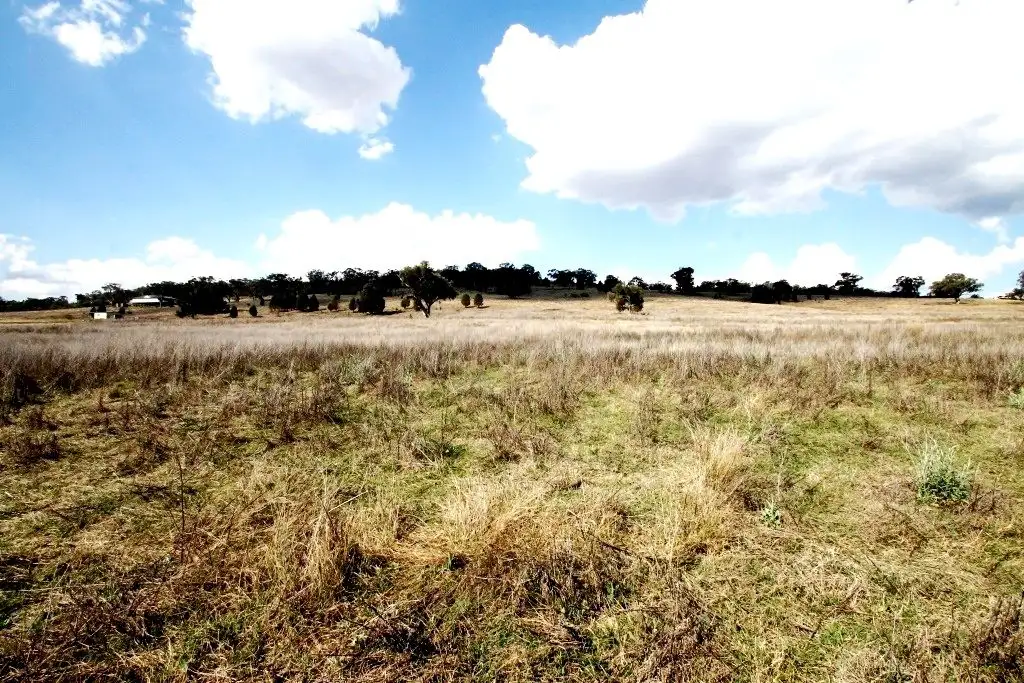 Main view of Homely rural property listing, 1688 Kamilaroi Highway, Quirindi NSW 2343