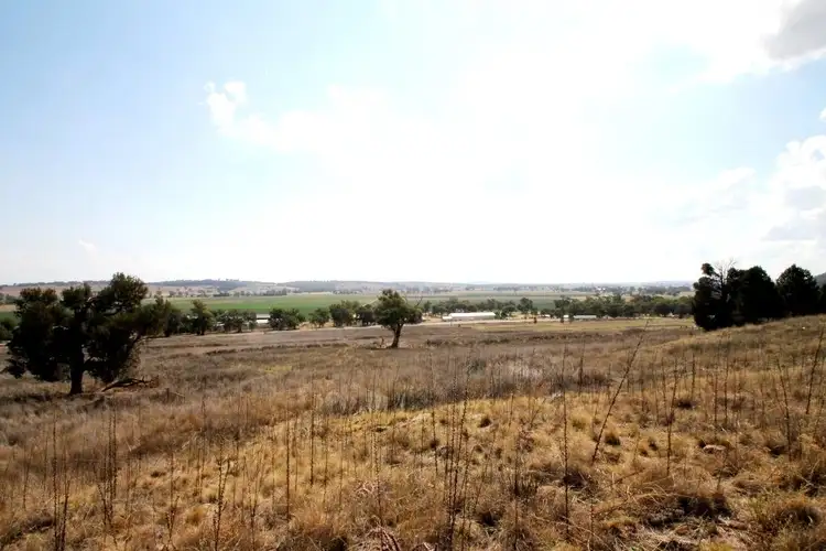 Second view of Homely rural property listing, 1688 Kamilaroi Highway, Quirindi NSW 2343