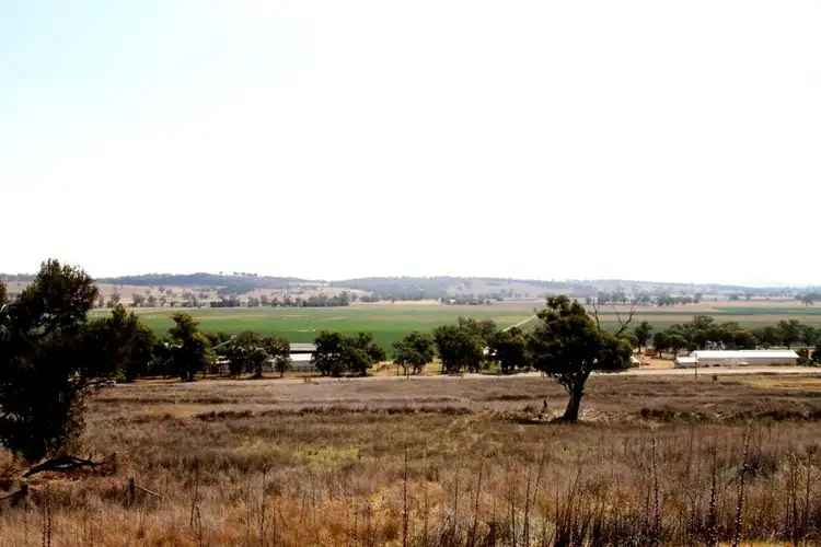 Third view of Homely rural property listing, 1688 Kamilaroi Highway, Quirindi NSW 2343