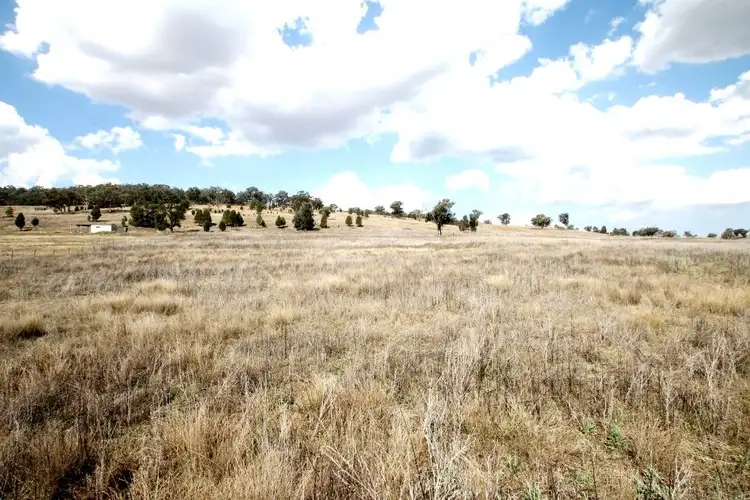 Fourth view of Homely rural property listing, 1688 Kamilaroi Highway, Quirindi NSW 2343