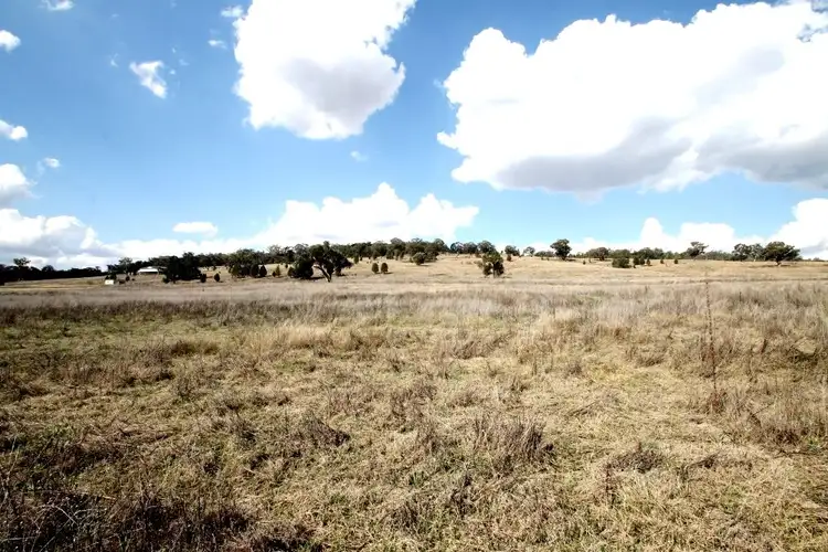Fifth view of Homely rural property listing, 1688 Kamilaroi Highway, Quirindi NSW 2343