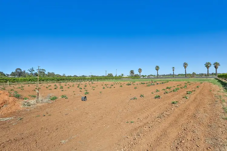 Sixth view of Homely land listing, Lot 1/9260 Calder Highway, Irymple VIC 3498