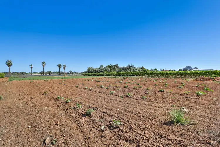 Seventh view of Homely land listing, Lot 1/9260 Calder Highway, Irymple VIC 3498