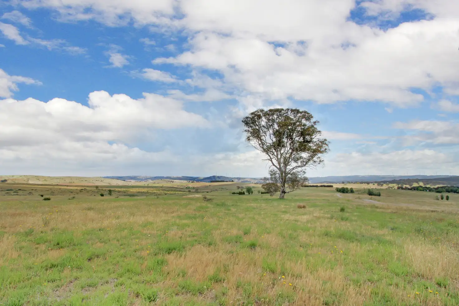 Main view of Homely rural property listing, Lot 2 2063 Range Road (GATESIDE LANE), Goulburn NSW 2580