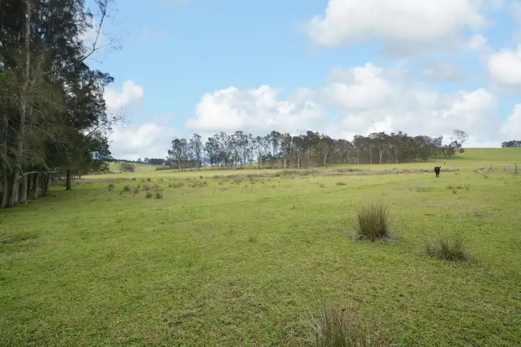 Fourth view of Homely rural property listing, 840 Sandy Creek Road, Quorrobolong NSW 2325