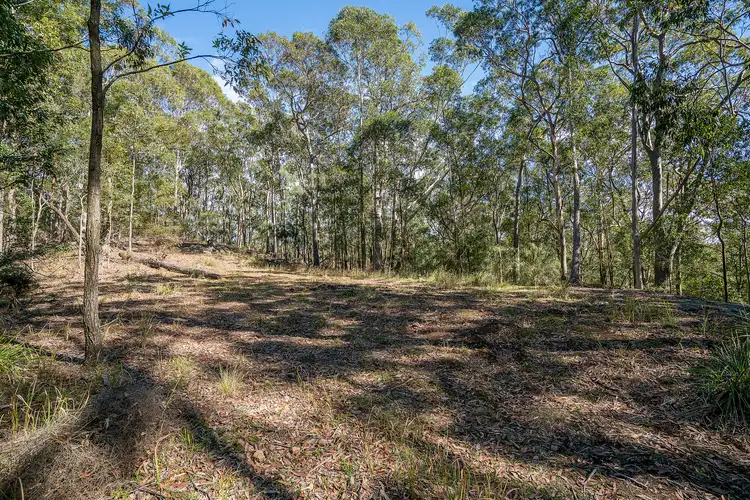 Fourth view of Homely rural property listing, 439 Sauls Road, Mandalong NSW 2264