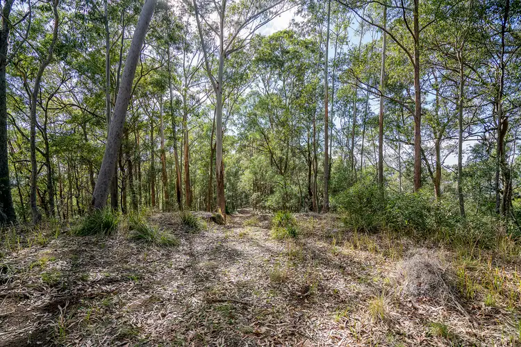 Fifth view of Homely rural property listing, 439 Sauls Road, Mandalong NSW 2264