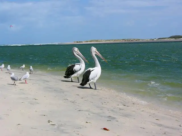 Sixth view of Homely house listing, 104 Esplanade, Golden Beach QLD 4551