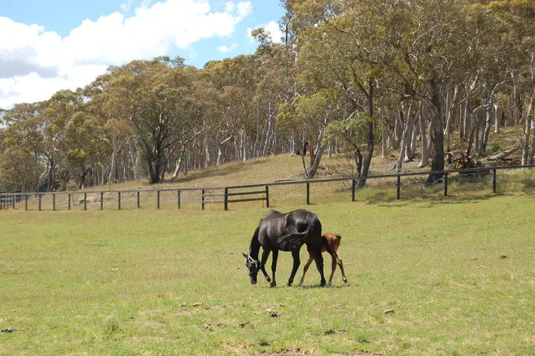 Seventh view of Homely rural property listing, 26 Medway Road, Berrima NSW 2577