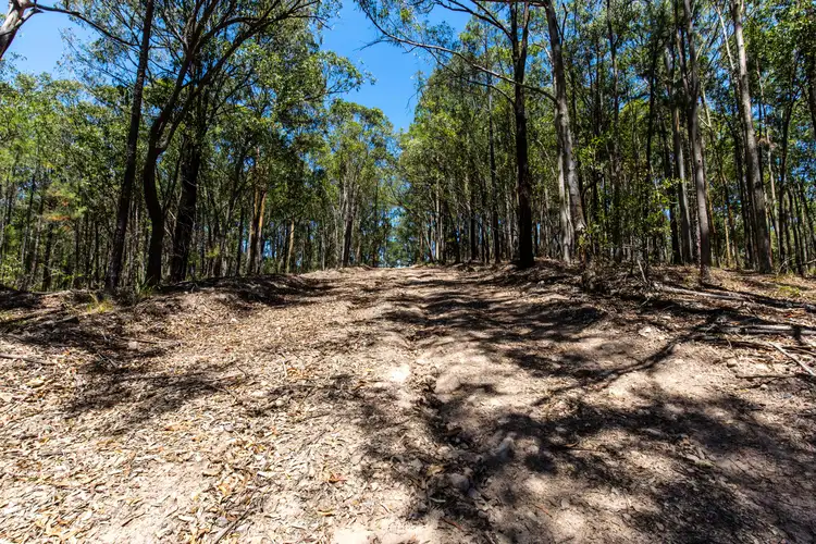 Sixth view of Homely land listing, Lot 14 Pindimar Road, Pindimar NSW 2324