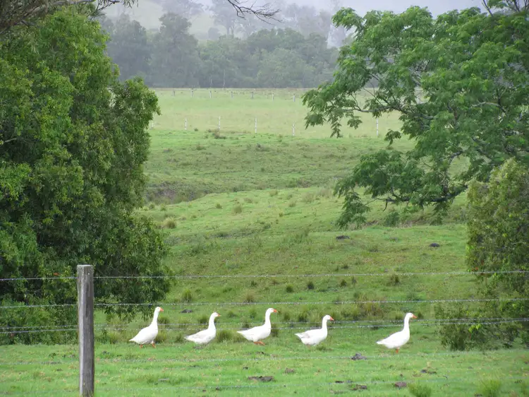 Second view of Homely rural property listing, 734 Glen William Road, Clarence Town NSW 2321