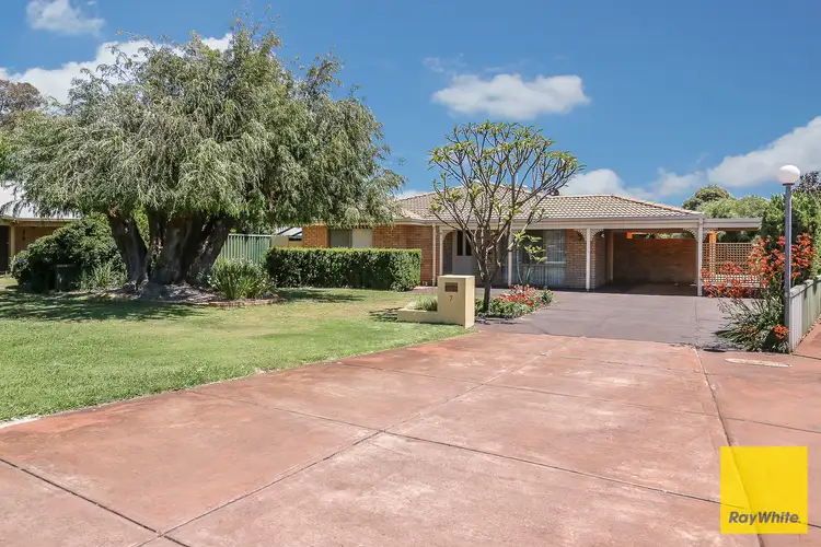 Second view of Homely house listing, 7 Mallee Place, Morley WA 6062