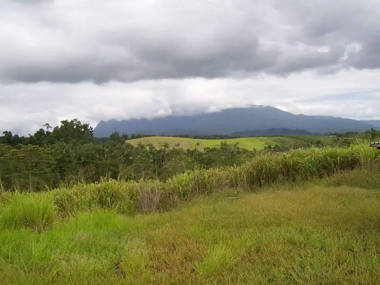 Seventh view of Homely house listing, 66060 Bruce Highway, Waughs Pocket, Innisfail QLD 4860